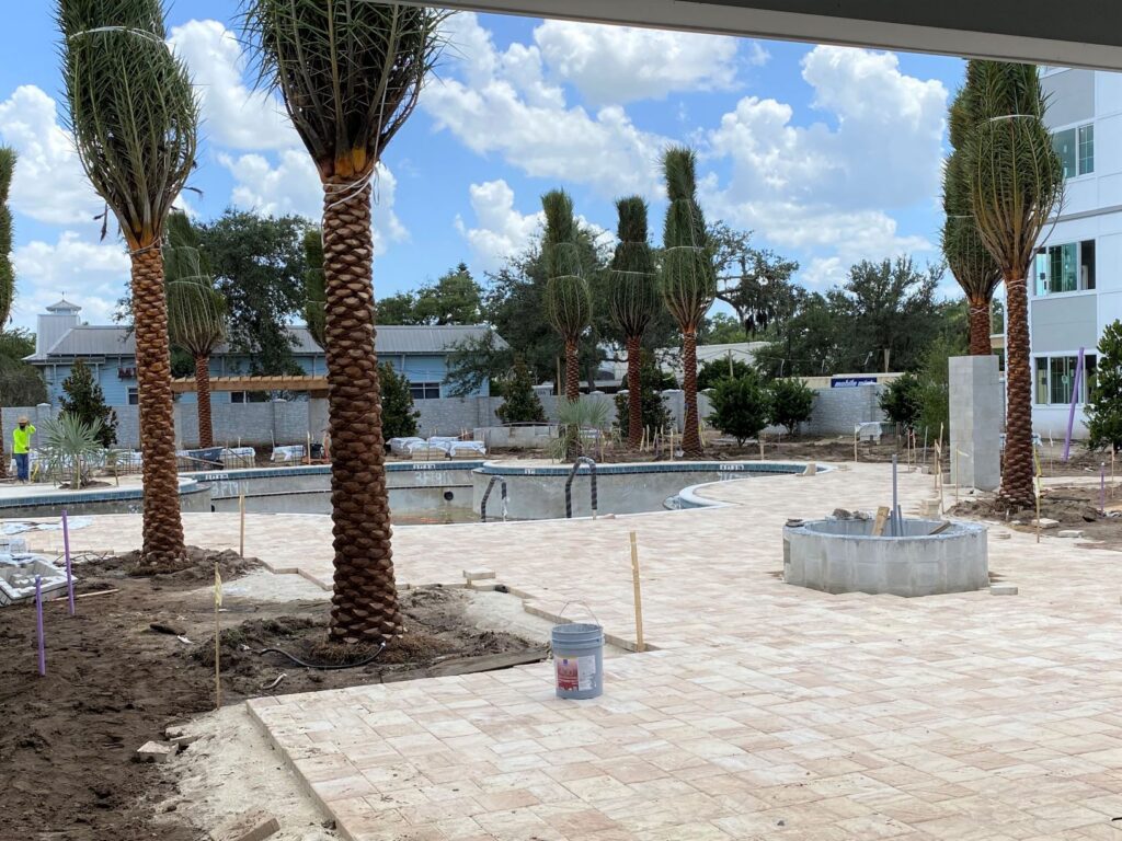 pool area planting at the enclave at 3230