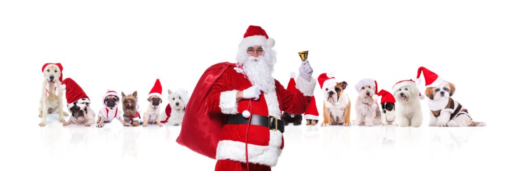 Santa , Bag of Toys, Dogs wearing Santa hats, Cats wearing Santa hats, Santa Suit, Bell